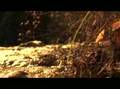videos de Asturias 2
