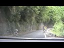 200806 南橫毛地黃 19 人 18 台車