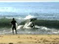 Skim board Chile 2002
