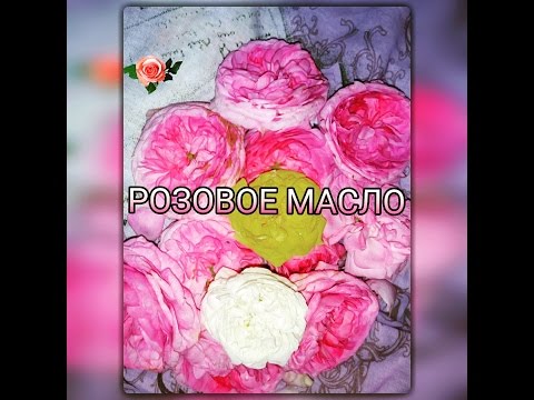 Как сделать розовое масло в домашних условиях Как сделать розовое масло в домашних условиях