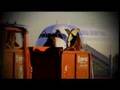 Official Trailer The Passion for Polo