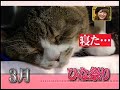 [Video]