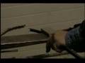 videos de Forming & Bending Piper 3/8