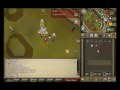 Taco Limey, Bh Vid 11, Ags and Steel Titan Rune Pure Pking, High Hits, F Keys