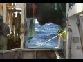 SDV_0117.MP4