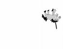 Animales-idiotas-Cap