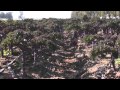 Family Farmer Talks About Growing A 