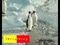 Si Pingu Yang Dengki