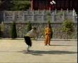 Shaolin Pudao