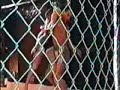 \"Dragon\" Manzanares Highlights