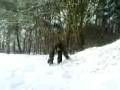 videos de Snowboarden2