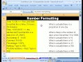 Excel Basics #12: Stylistic & Number Formatting - free flv video @ vwatch.tv