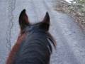 videos de Nous en ballade