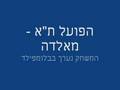 המסע האירופאי של הפועל תל אביב!!