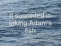 A Seal Fishing with Dooley\
