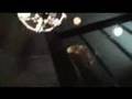 Goth・ic Lestat　ゴシックレスタット　立川　お店紹介2