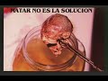 Mezcla de imagenes de Abuso Infantil Y Abortos con musica de fondo de Funky con el tema Me estas Matando de su disco Corriendo Para Ganar. Con la finalidad de aplaudir el gran trabajo de Funky, su ministerio y su talento dado por Dios para hacer conciencia en todas la personas actuales o futuros padres de familia...Que Dios Te Bendiga Funky y a todos aquellos que dan a conocer al mundo quien es el dador de la vida...JESUCRISTO.
