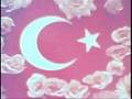 TÜRK BAYRAĞI