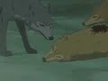 Wolf Rain Tribute