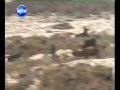 Isiolo Killings