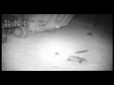 DEFRA TB video 5 DEFRA TB video 5