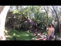 Clips from our trip in Hawaii before and after the wedding. Filmed with Gopro hero 2, eyeofmine flat lense housing. Such a amazing trip