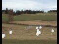 T-Rex 700 at Holmen, Norway
