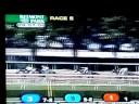 R Betty Graybull Wins Maiden at Belmont
