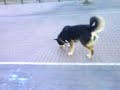 linda y sus amigos jeje linda y sus amigos jeje