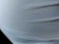 I present to you: The Worlds Fastest Preggo....