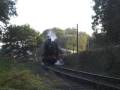 Double Framers on SVR