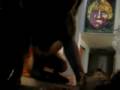Bullmastiff video