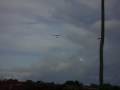 aviaozinho toxa