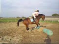 Dinges springen