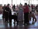 afghans-having-some-fun.html