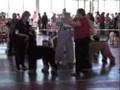 Afgano video
