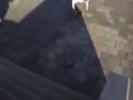 vlissingen edit