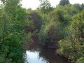 Nicomekl River - No Words