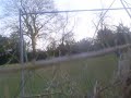 crossbar,goal,lazio,italia crossbar,goal,lazio,italia