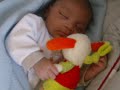 ismael ismael