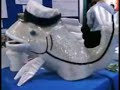 Click here to watch this video International Coral Reef Symposium 2008 - #1