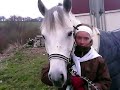 concours cheval