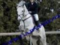 concours cheval