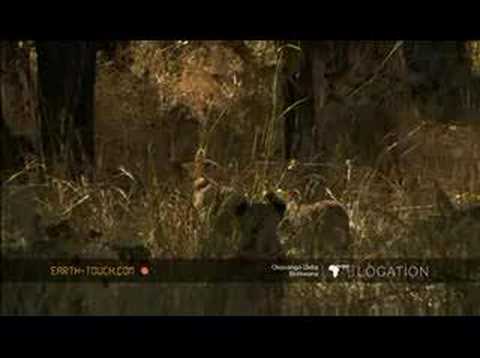YouTube Preview Image