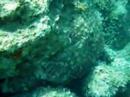 Korfu 2007 UnderWater