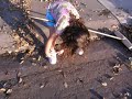 Emma Cleaning