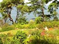 Diane Hill - Stanwood Camano Plein Air Invitational