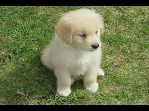 gahh soo cute!!
