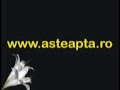 Am ales sa astept! Dar tu?