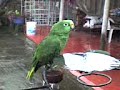 Monsalve's Studios Dec-7-9009 part 3
